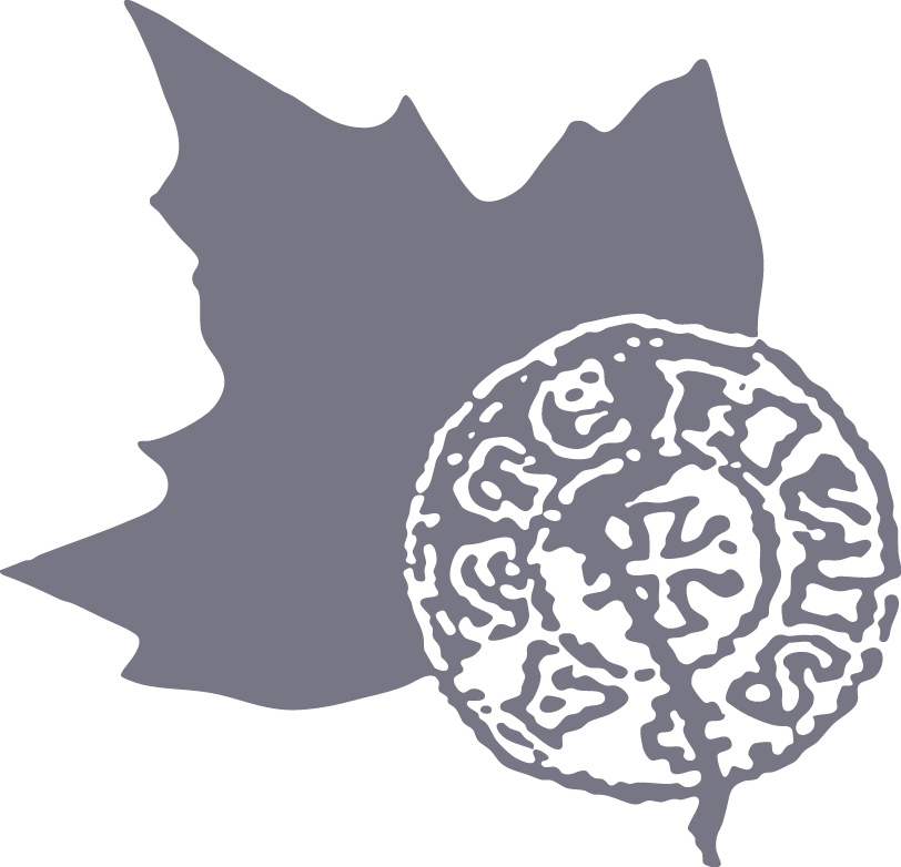 Logo Società di Studi Astesi